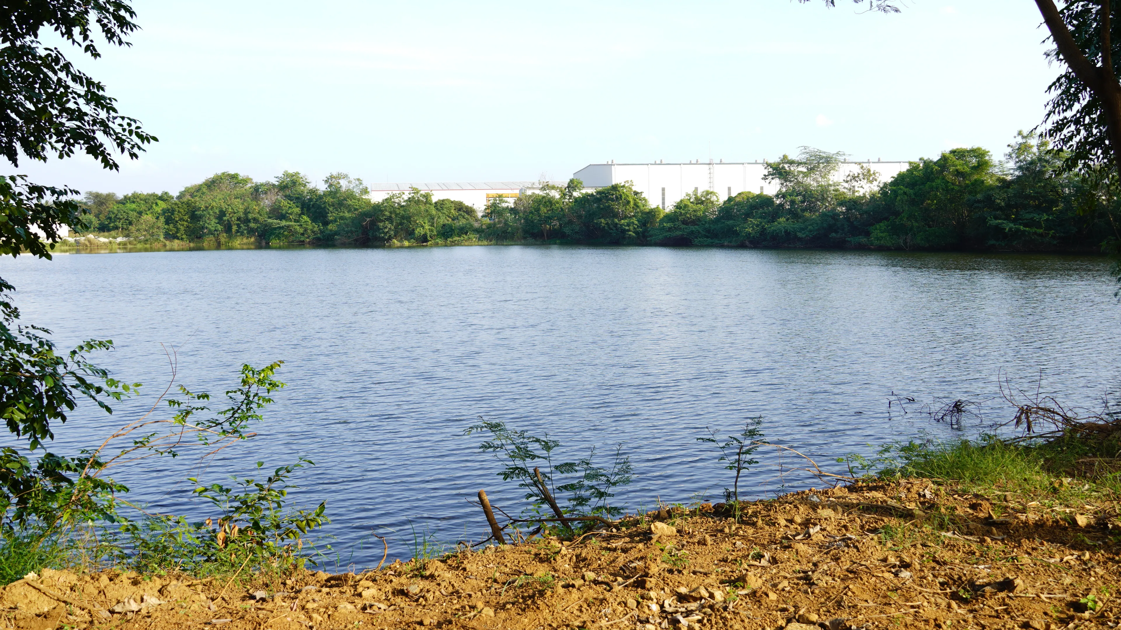 Vue d'un lac, Water positive Usine de Chennai